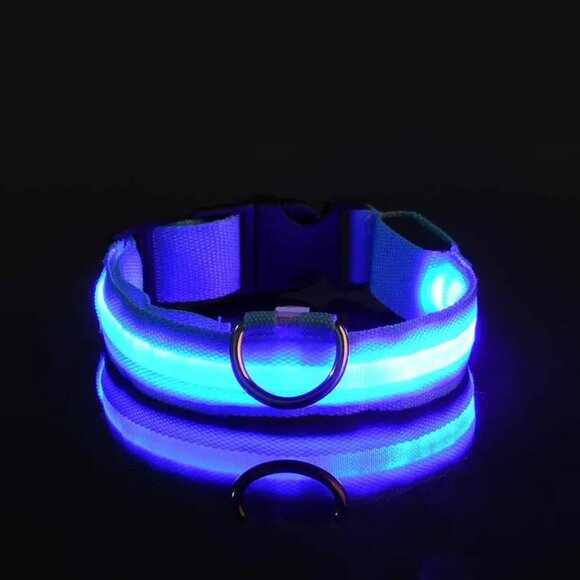 Medium Blue Adjustable Glow-In-The-Dark Dog Collar - Picture 4 of 4